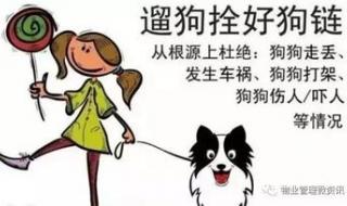 没什么宠物是人类遛不了的