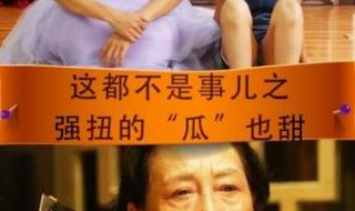 强扭的瓜不甜指的是什么瓜