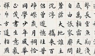 沁园春长沙意思解释
