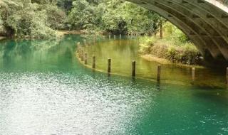 广州到鼎湖山怎么坐车