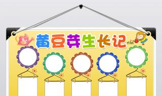 黄豆芽观察日记七天