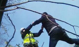 交警殴打受害人家属