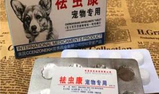 宠物驱虫大概多少钱