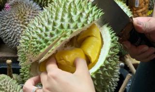 榴莲国产榴莲给我下个榴莲
