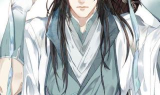 魔道祖师魏婴用避尘捅自己