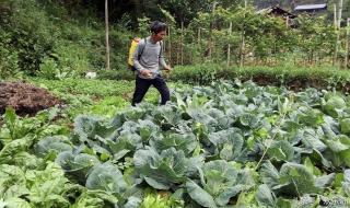 蔬菜涨到“过年价”非小事