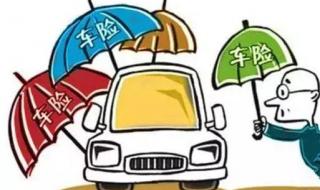 那个保险公司的车险服务好